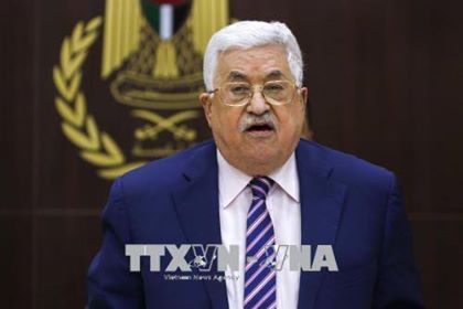 Chuyên gia lo ngại chia rẽ trong nội bộ Palestine